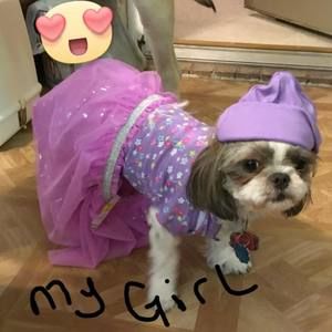 Meet your Posher, Nancy